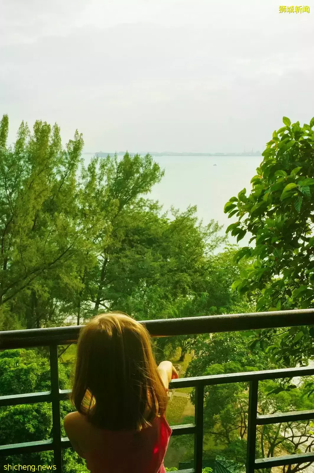 新加坡南部要建新公园,占地200公顷!这些地方太美了打卡必去