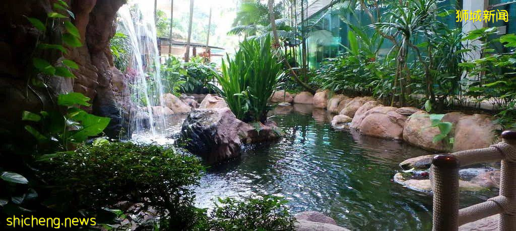 新加坡10家送上门的下午茶！鸡肉派、炭包子、香肠卷