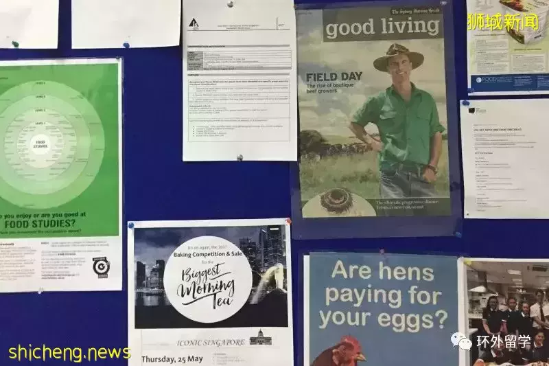 新加坡唯一一所南半球國際學校 澳洲國際學校