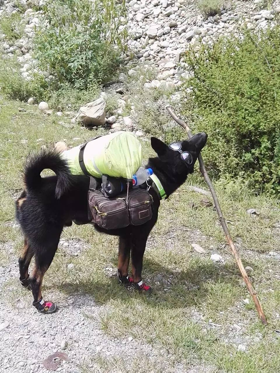 【Day17之骑行川藏】鲁朗→八一