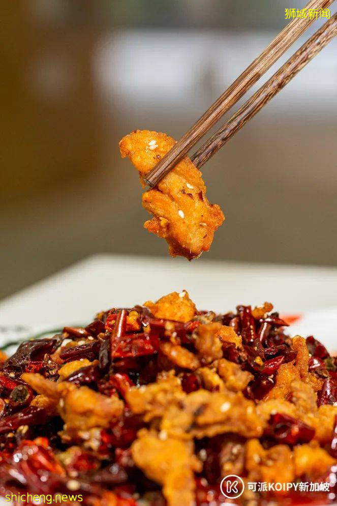 维也纳自助餐新开分店,锦鲤自助火锅火爆上线