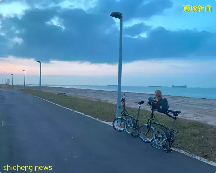 新开的樟宜湾PCN看起来就像韩国济州岛