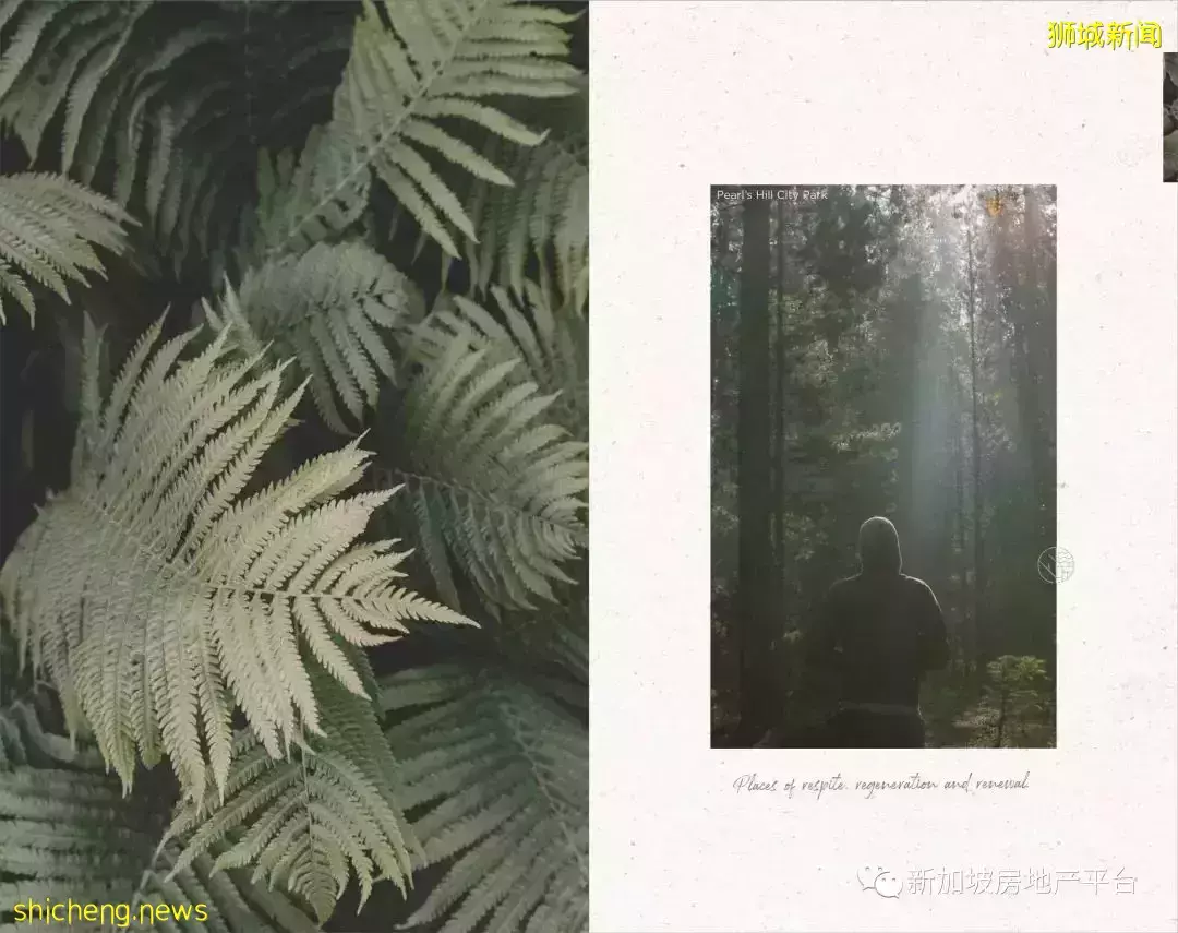 時光珍珠，瑰寶之地！One Pearl Bank 萬寶軒（D03 郵區 歐南園）