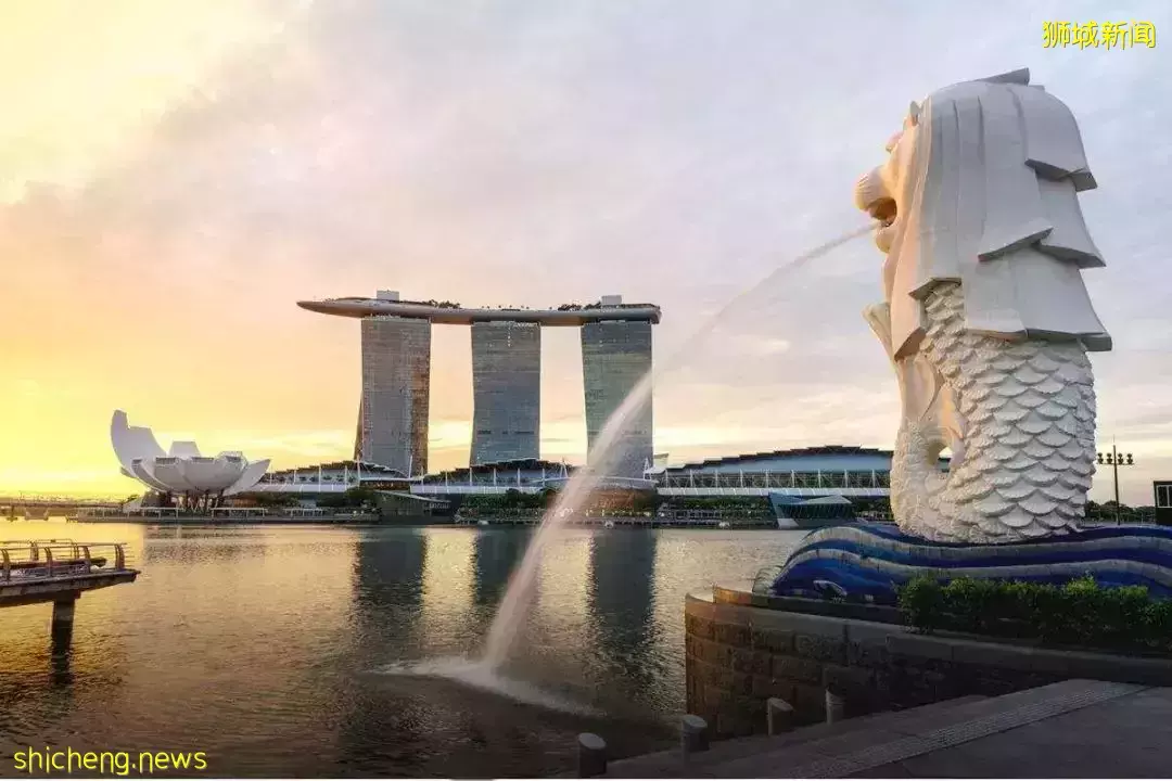 考雅思、讀研、生3娃、肚皮舞教練……中年老母親在新加坡的8年，活出了無限可能