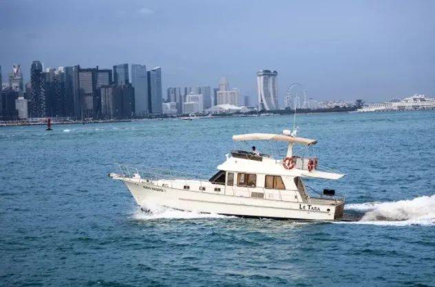 【周末去哪玩】樟宜機場恐龍嘉年華、淘奇多奇冰雪假日、烏節路聖誕燈飾、精靈寶可夢探索等等等