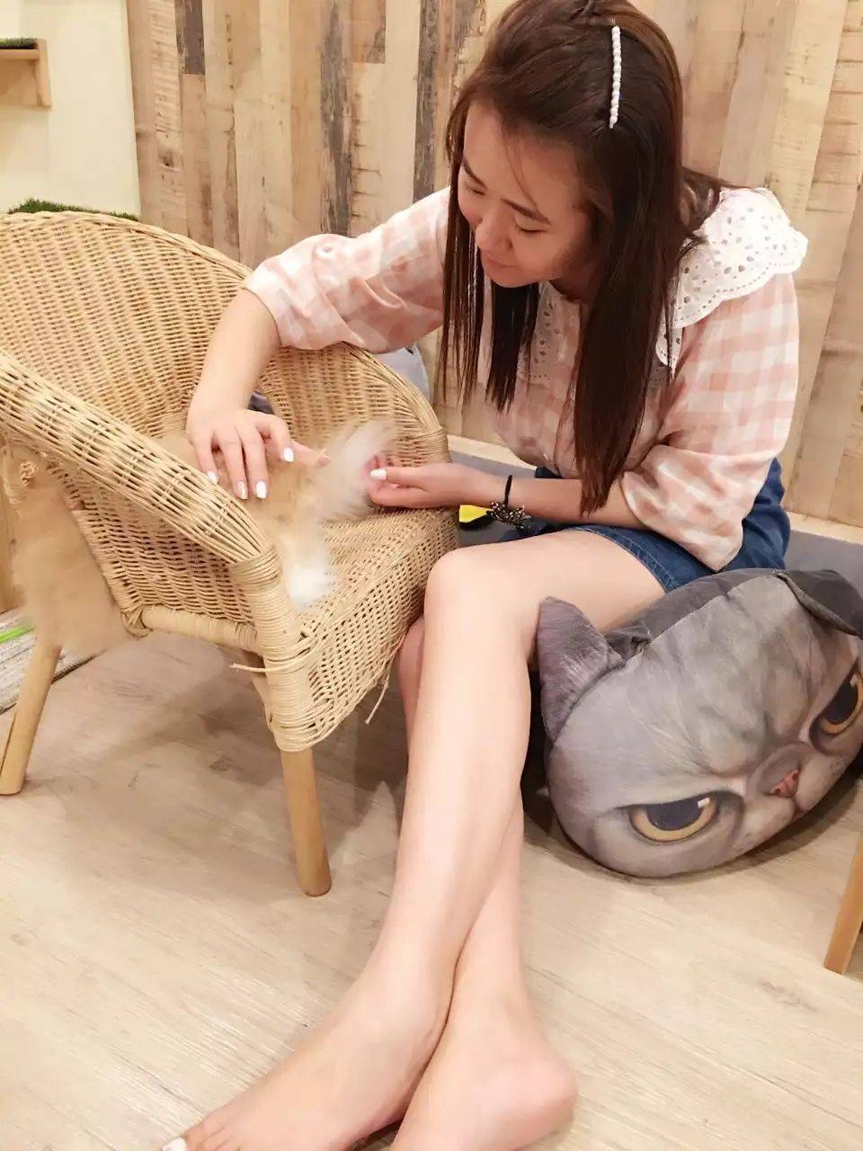 治愈系的它看一眼就愛不釋手！新加坡撸貓撸狗地圖來咯