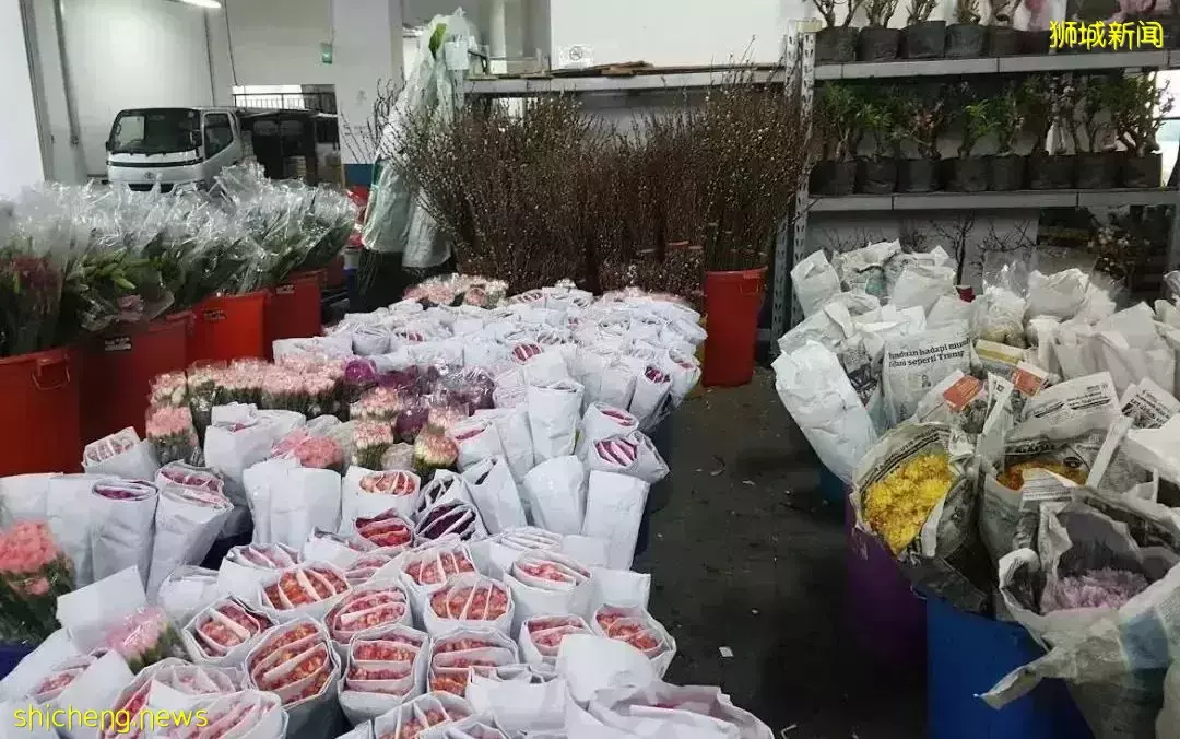 鮮花在熱帶也能養1個月？資深花友新加坡買花、養護大揭秘