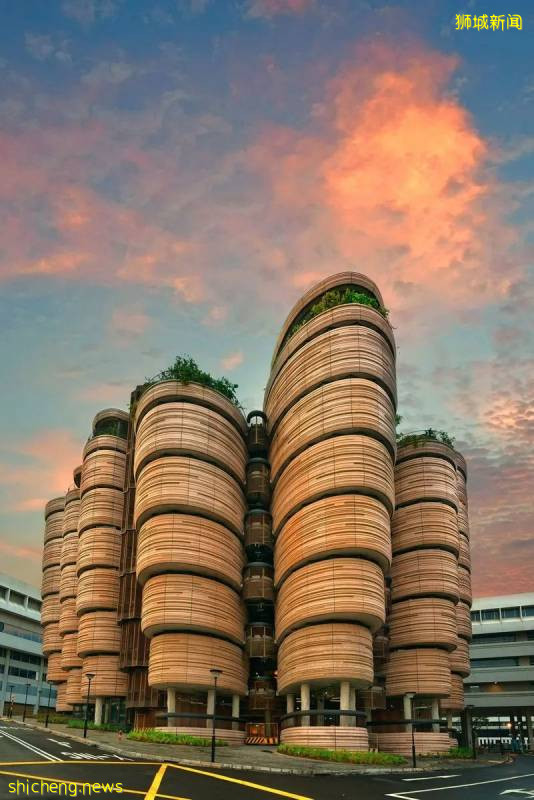 移探到底 | 新加坡,一座惬意的城市