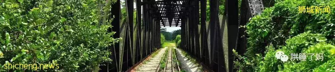 Bahru、Jalan、Panjang...這些在新加坡最常見的詞,什麽意思