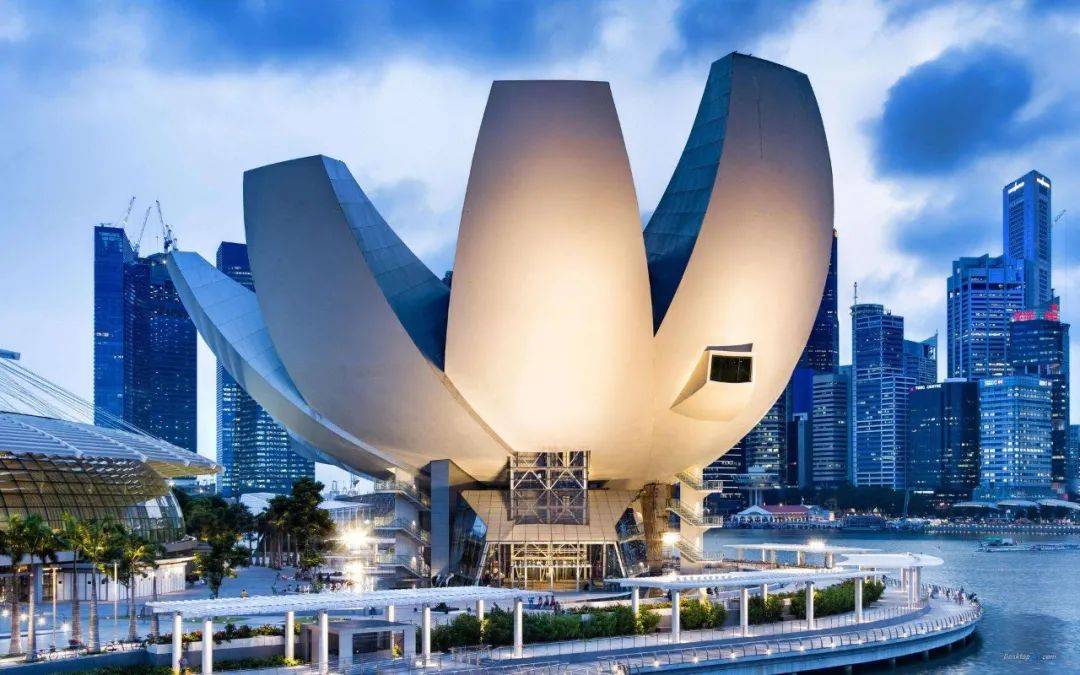 新加坡兩所大學近期熱門申請專業分享