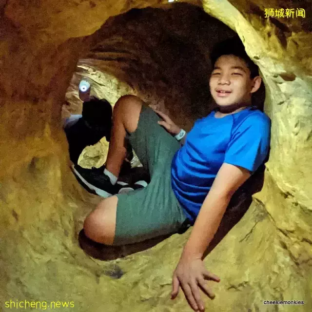 上天下地太刺激!新加坡北部新开乐园,肾上腺素疯狂飙升