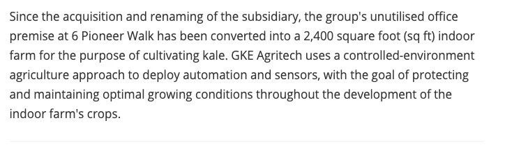 新加坡高科技农业：锦佳集团获准在本地室内种植蔬菜