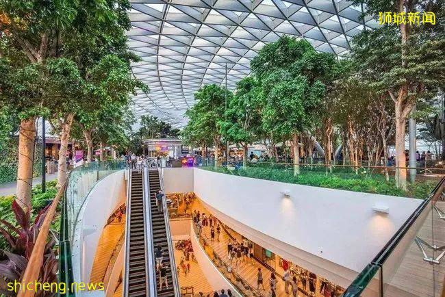 新加坡旅遊，有哪些好玩的地方？中國遊客：就像去了另一個城市