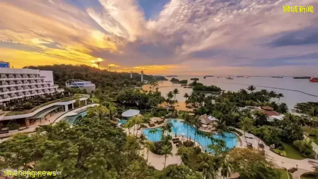 新加坡11條shuttle bus路線!直達動物園、宜家、農場、聖淘沙、醫院