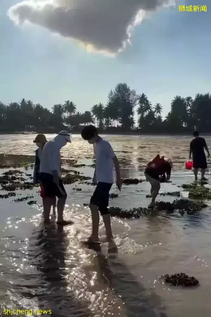 周末时光—魔鬼岛赶海