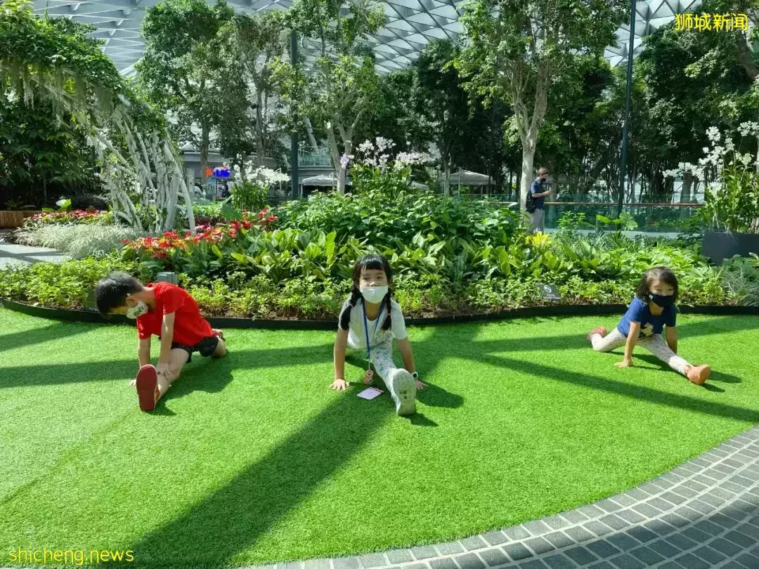 爆火的机场1夜露营又来啦！仅$78还送河川动物园门票