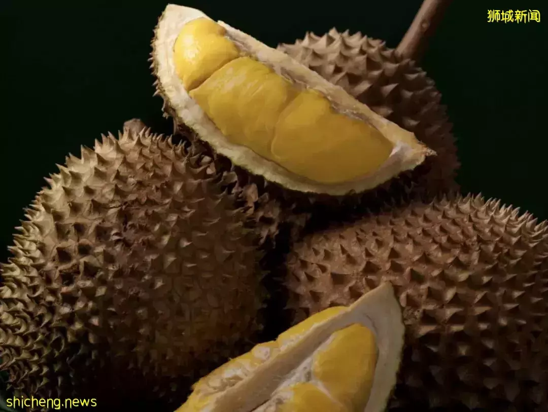 最近，新加坡物价涨疯了！杂菜饭、房租、汽油都涨了20%，这32样东西变贵了