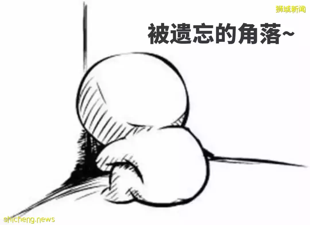 孩子遭遇校园霸凌应该怎么办,新加坡教育部长这样说