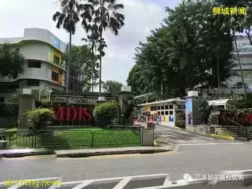 中考后留学新加坡读哪些课程，MDIS 预科学院给你答案