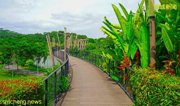 2021版新加坡隐秘小众骑行路线攻略!骑上自行车来探索这座熟悉的城市吧