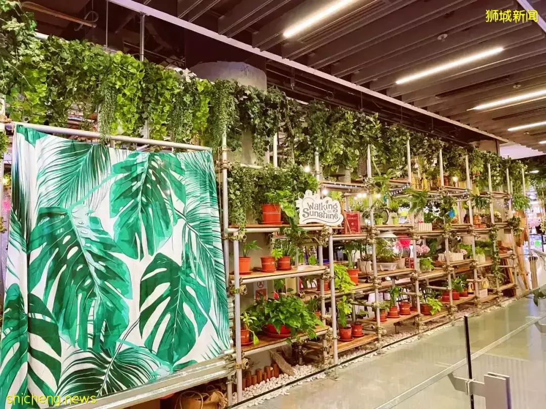 新加坡又一遛娃寶地!親子VR、網紅自拍館、火鍋自助