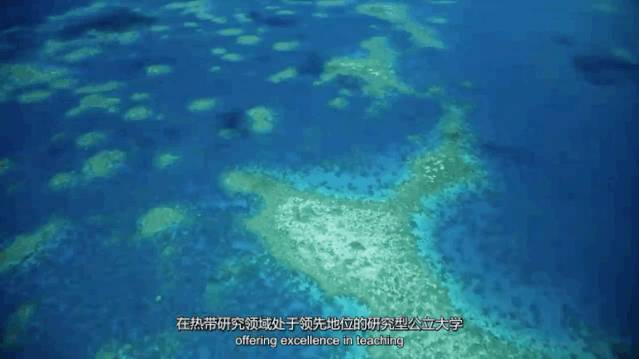 2020年詹姆斯庫克大學新加坡校區宣傳片