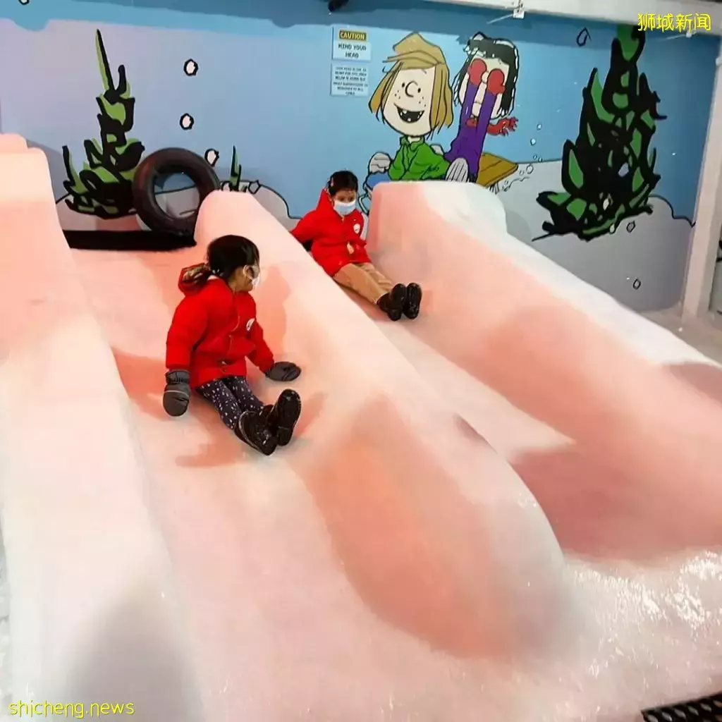 樟宜机场下雪了！6月假期，在空中花园看露天电影，和BTS亲密互动