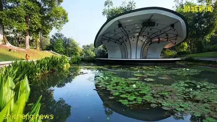 本周日！親子DIY盆栽、打卡越南網紅餐廳、了解新加坡曆史，搶位中