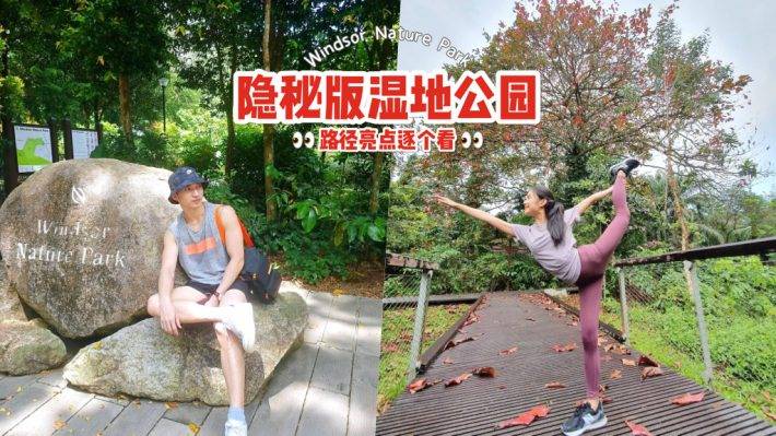 徒步吸氧去🍃Windsor Nature Park濕地公園，隱秘寶藏仙境✨ 3段徒步路徑、淡水溪流、沼澤棲息地
