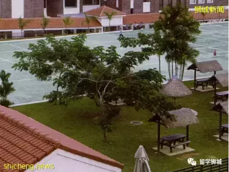 学生成绩领先全球平均水平!新加坡东陵信托学校等你申请