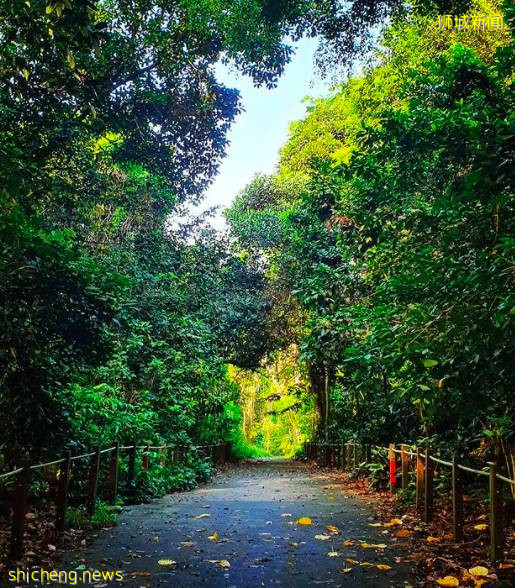 解封後回歸社交生活，有哪些好玩的活動和地點值得一逛？一起來看看吧