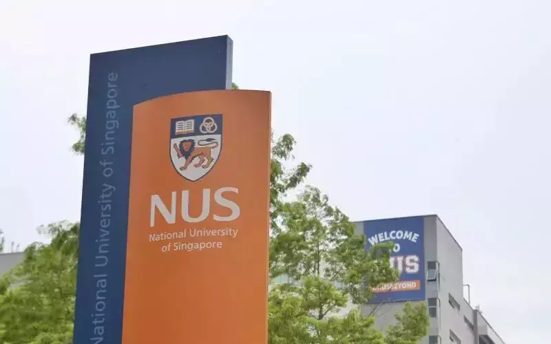 香港VS新加坡!两地各方面超全对比,新加坡教育优势体现在哪里