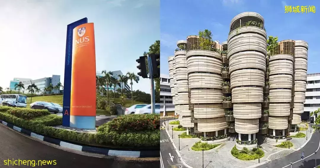 越南火了！還要超越新加坡？到底怎麽回事