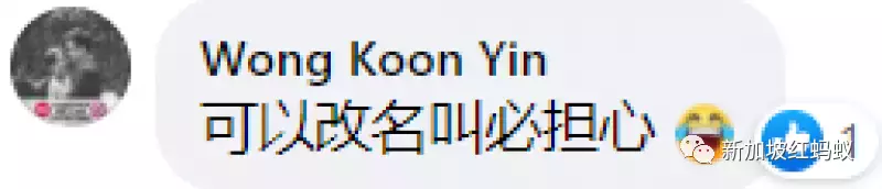 新加坡國會“撒謊門”調查報告出爐 反對黨領袖竟成了刑事調查對象