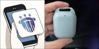 6月起，新加坡這些場所有新規定！合力追蹤最全使用說明