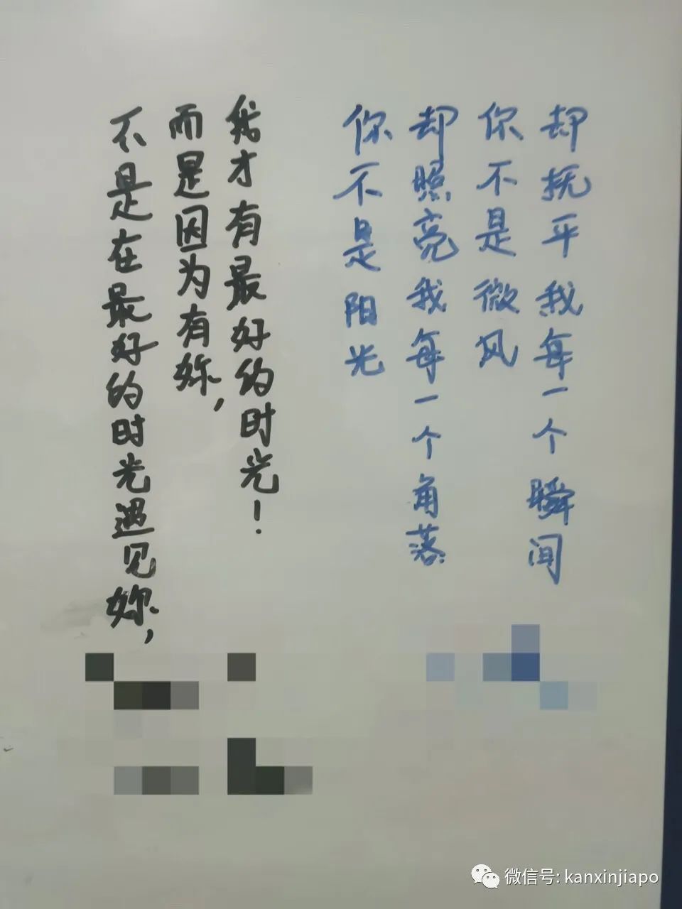 “一周情侣”收官！欠你的另一半已经在路上啦～