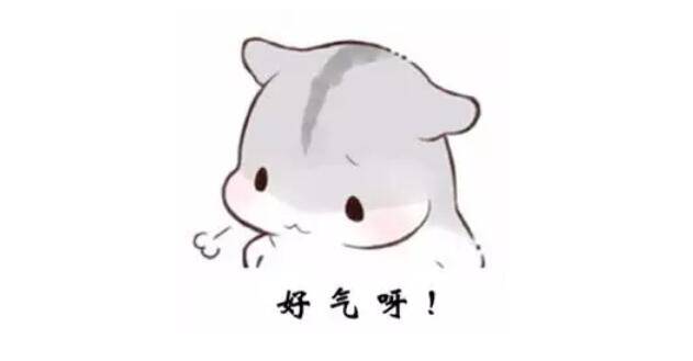 新加坡巴士司机开车忽略一个细节被网友狂怼,或直接失业