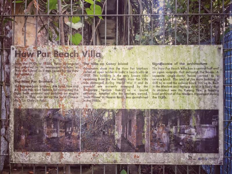 新加坡Coney Island废弃别墅,摇摇欲坠木桥小路,抓摸不清的寻访路线!🤨