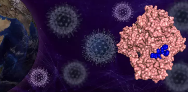 強強聯合！新加坡科技研究局攜手中國制藥公司，研發出新冠口服藥