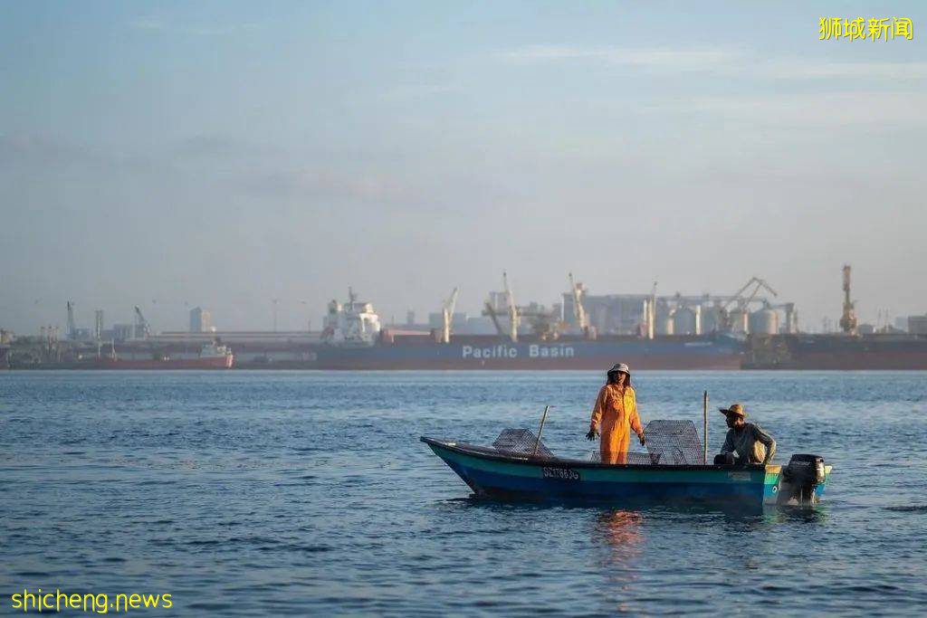 【每周折扣】优惠和夏天一起来啦