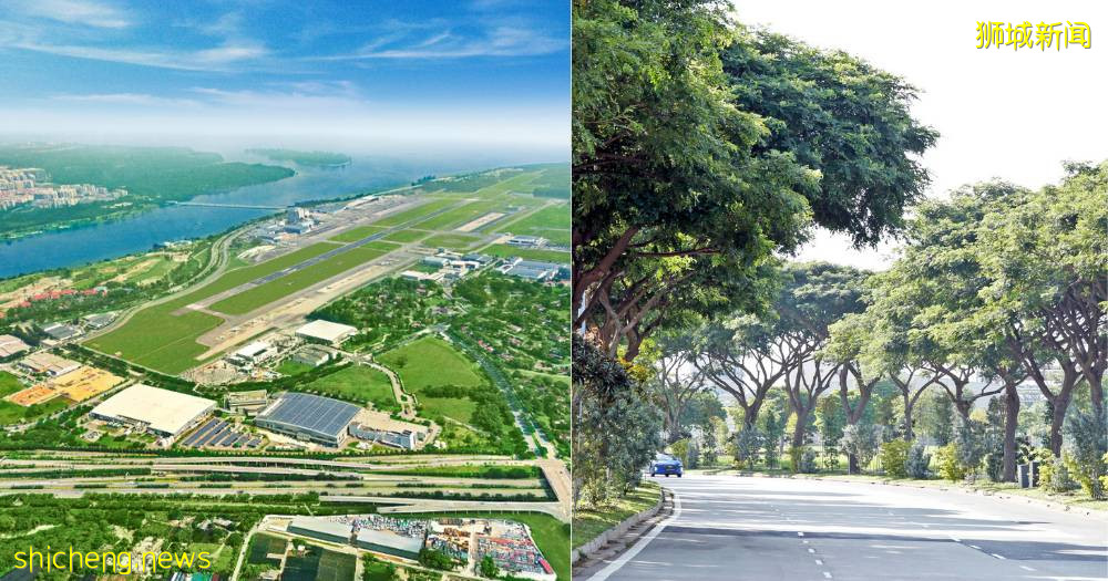 西海岸将加建40个绿化设施,其中包括自然连道和社区花园