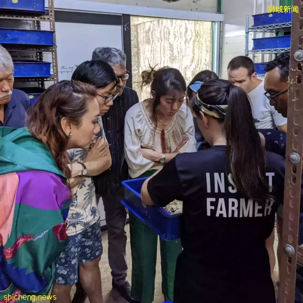 2022新加坡遺産節回歸！更豐富更好玩，5月的四個周末都有精彩安排