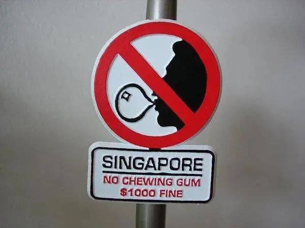 新加坡是怎樣的一個國家