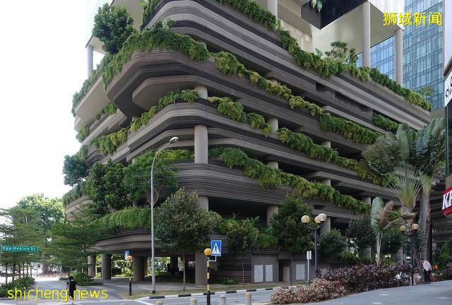 新加坡｜新加坡冷知识，关于21件你不知道的事