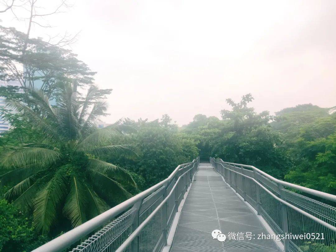 新加坡遊記系列 行走在南部山脊