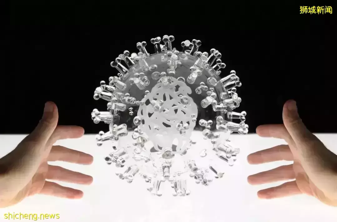 新加坡近期视觉艺术展览好推荐,适合拍照打卡