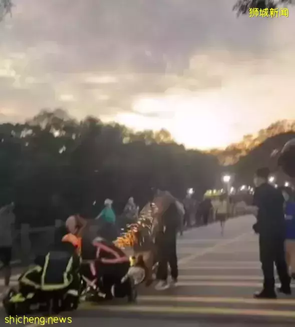 新加坡小女孩小腿卡入自行車圈，“消防員”叔叔救援背影真偉岸