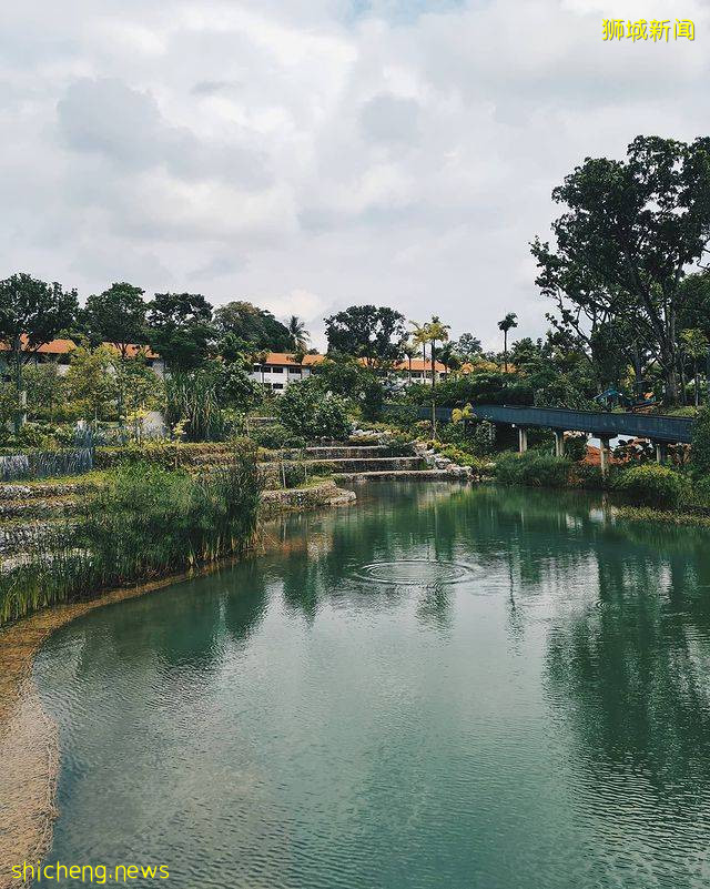 盘点新加坡7大湖泊美景✨静下心感受大自然风景、漂亮程度堪比国外