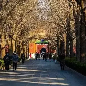 新加坡居然也有皇宫? 多元新加坡之甘榜格南