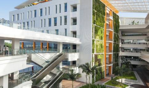 新加坡理工大學2020屆畢業生就業報告公布！95%學生順利工作，平均月薪$3675